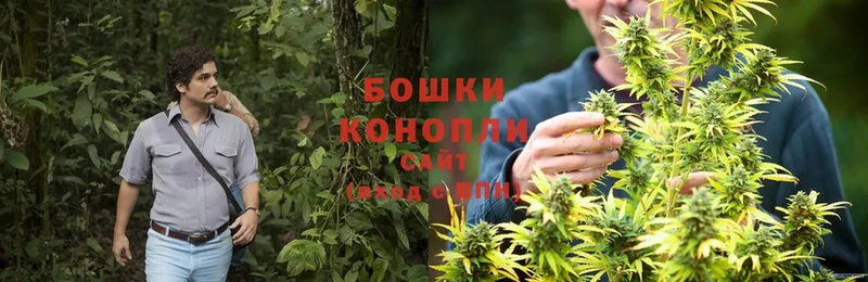 МАРИХУАНА SATIVA & INDICA  купить наркотики цена  Дубовка 